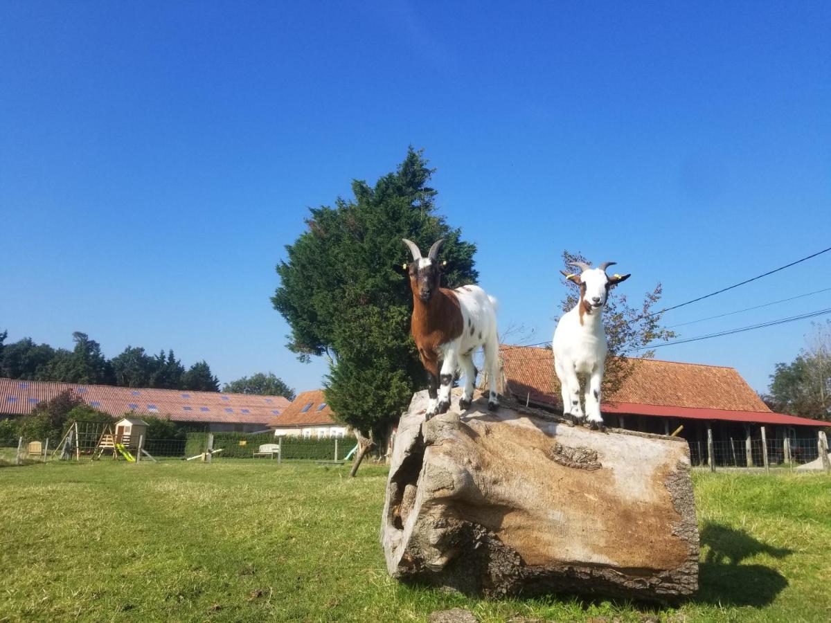 Les Coquelicots Villa Lacres Kültér fotó